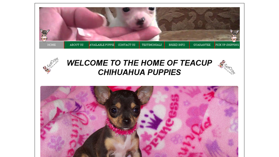 Blueskychihuahuapuppies.com - Chihuahua Puppy Scam Review