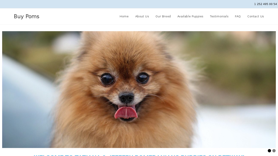 Buypoms.com - Pomeranian Puppy Scam Review