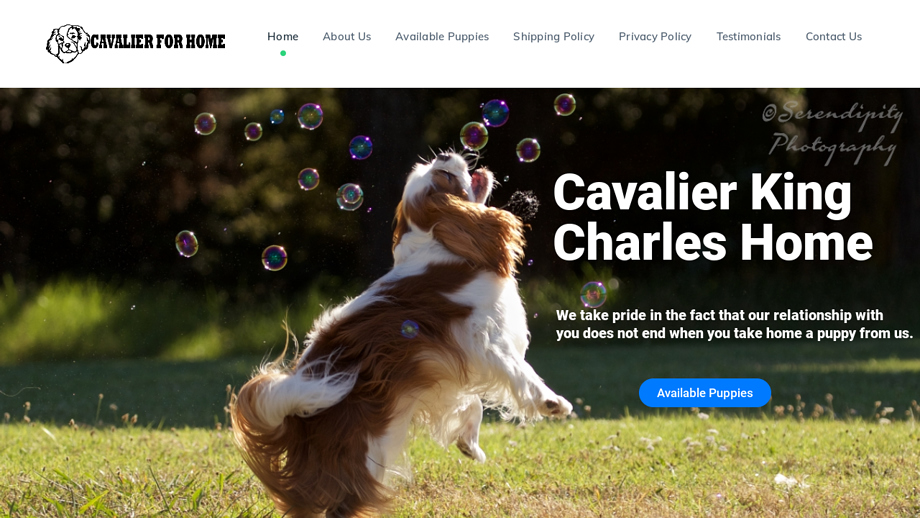 Cavalierforhome.com - Cavalier King Charles Spaniel Puppy Scam Review