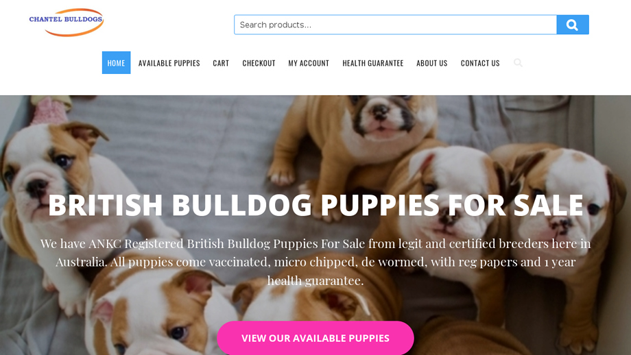 Chantelbulldogs.com - Bulldog Puppy Scam Review