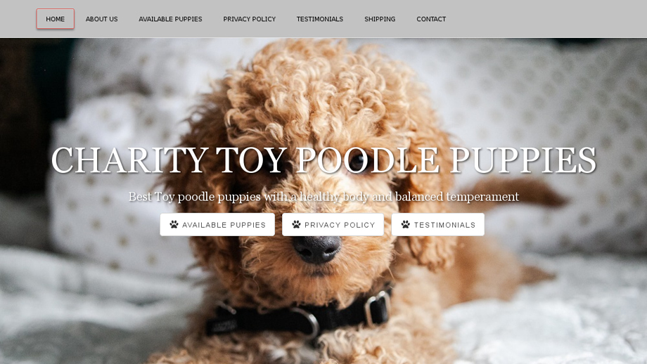 Charitytoypoodlepuppies.com - Poodle Puppy Scam Review