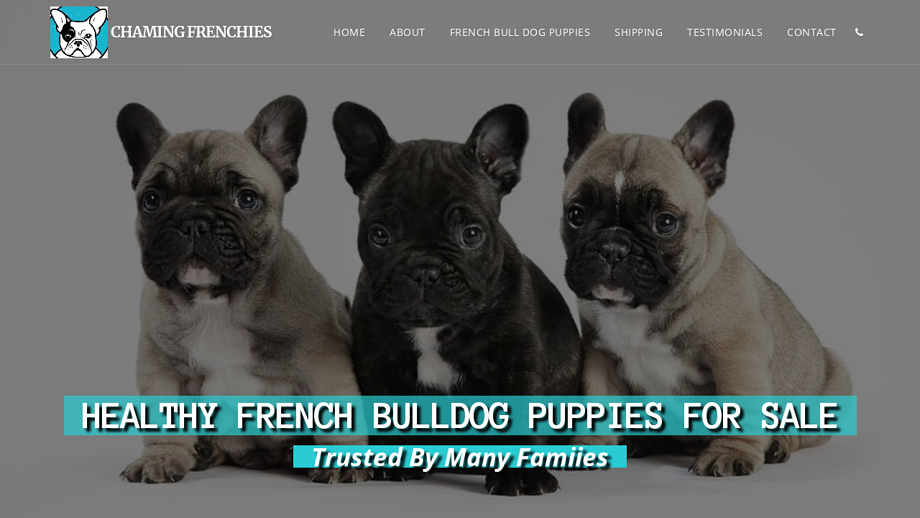 Charmingfrenchbulls.com - French Bulldog Puppy Scam Review