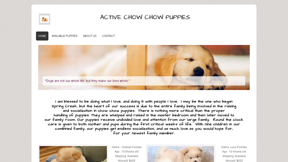 Chowchowpuppies.net - Chowchow Puppy Scam Review