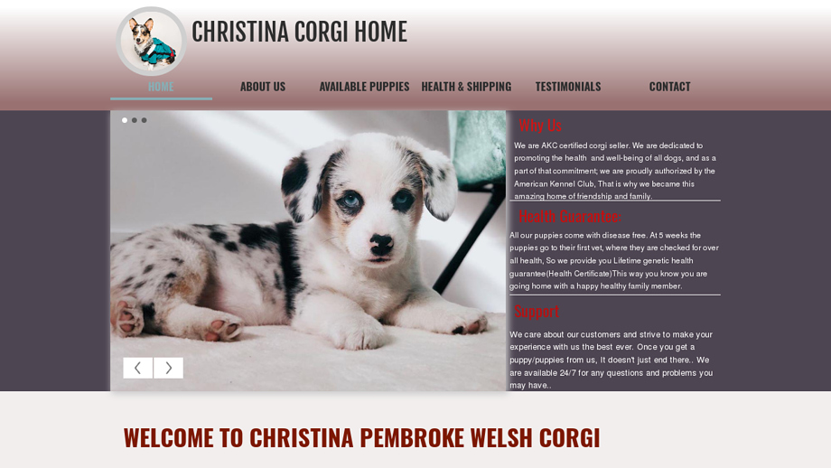 Christinacorgihome.com - Corgi Puppy Scam Review