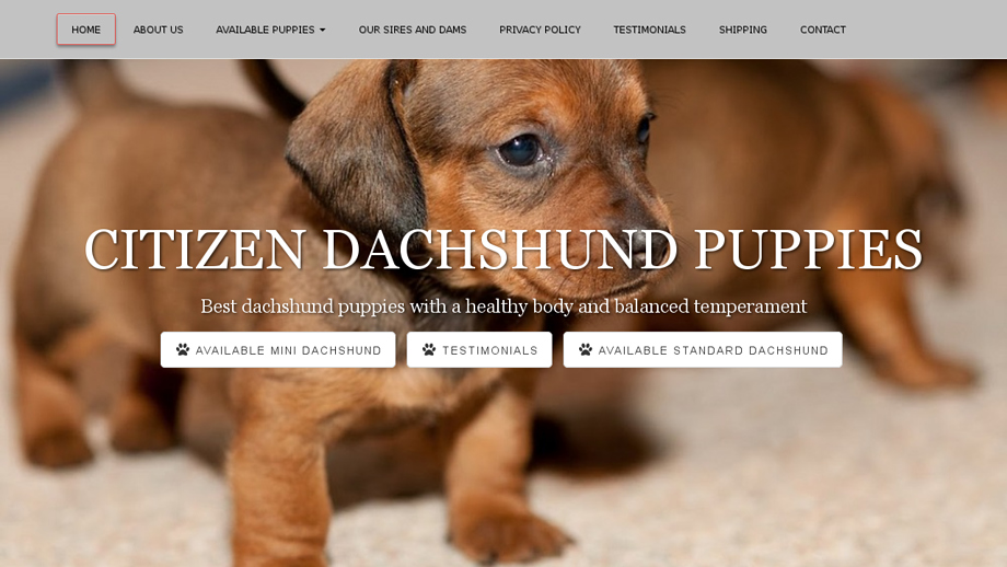 Citizendachshundpuppies.com - Dachshund Puppy Scam Review