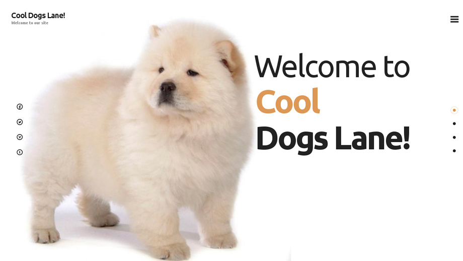 Cooldogslane.com - Chowchow Puppy Scam Review