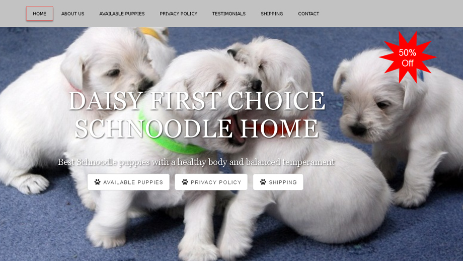 Daisyfirstchoiceschnoodlehome.com - Schnauzer Puppy Scam Review