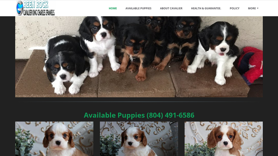 Dkingcharlespaniels.com - Cavalier King Charles Spaniel Puppy Scam Review