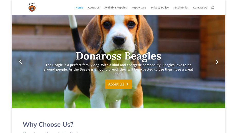 Donarossbeagles.com - Beagle Puppy Scam Review