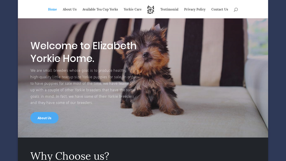 Elizabethyorkiehome.com - Yorkshire Terrier Puppy Scam Review