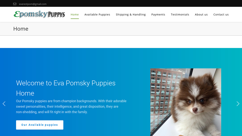 Evapomskypuppys.com - Pomeranian Puppy Scam Review