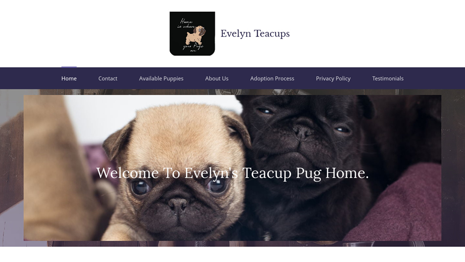 Evelynteacups.net - Yorkshire Terrier Puppy Scam Review