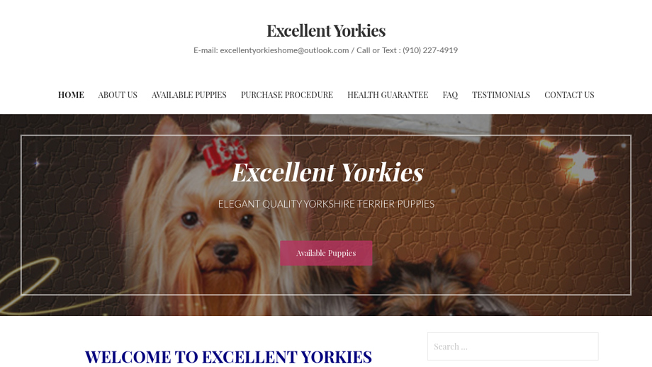 Excellentyorkies.com - Yorkshire Terrier Puppy Scam Review