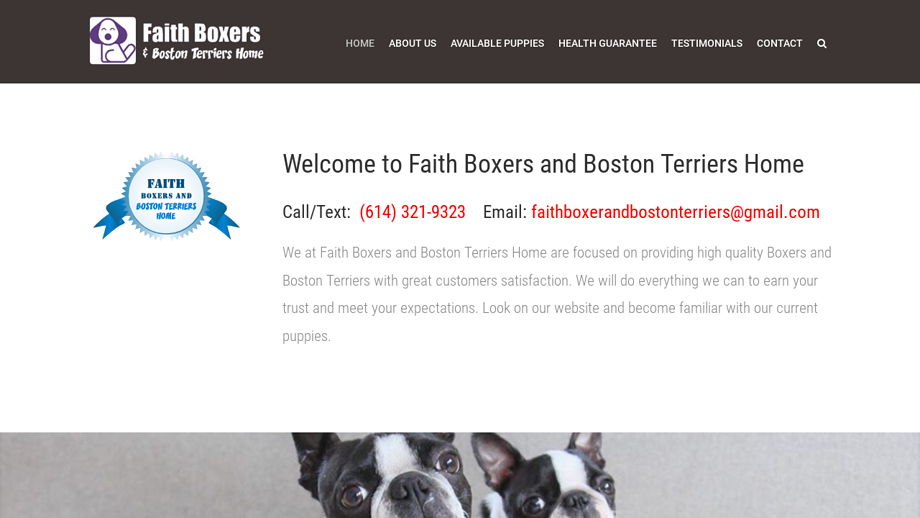 Faithboxerandbostonterriers.com - Boston Terrier Puppy Scam Review