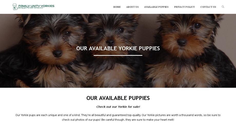 Familyunityyorkies.com - Yorkshire Terrier Puppy Scam Review