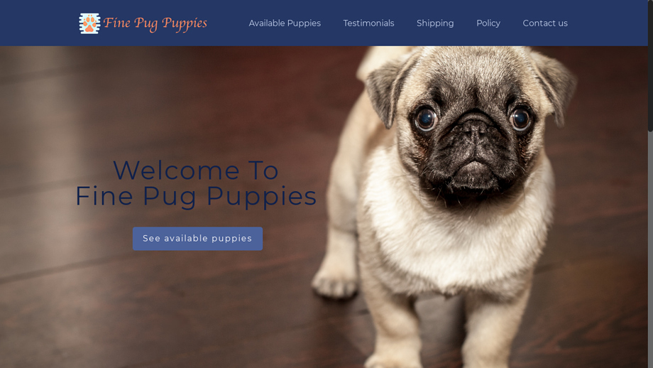 Finepugpuppies.com - Pug Puppy Scam Review