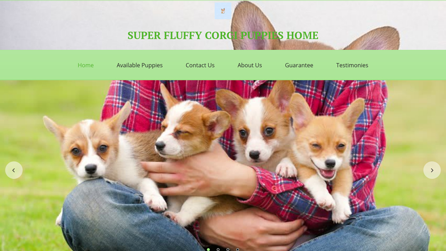 Fluffycorgipuppies.com - Corgi Puppy Scam Review