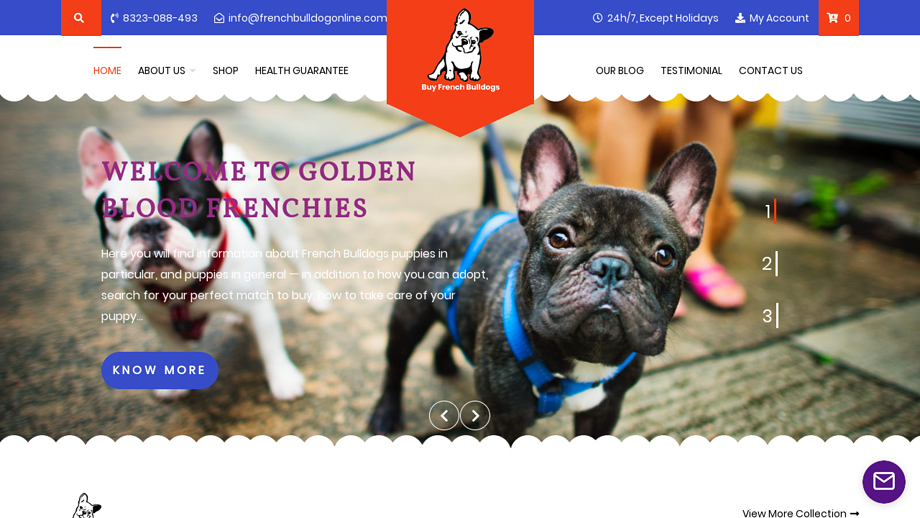 Frenchbulldogonline.com - French Bulldog Puppy Scam Review