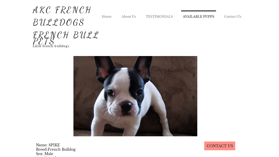 Frenchbulliespets.com - French Bulldog Puppy Scam Review