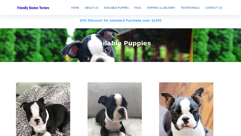 Friendlybostonterriers.com - Boston Terrier Puppy Scam Review