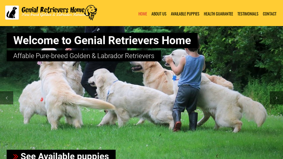 Genialretrievershome.com - Golden Retriever Puppy Scam Review