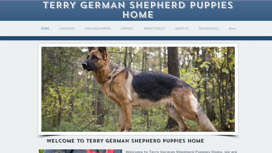 Germanshepherdpuppieshome.com - Germanshepherd Puppy Scam Review