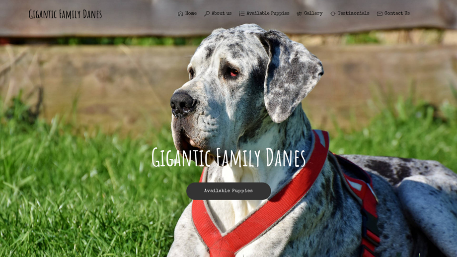 Giganticfamilydanes.com - Great Dane Puppy Scam Review