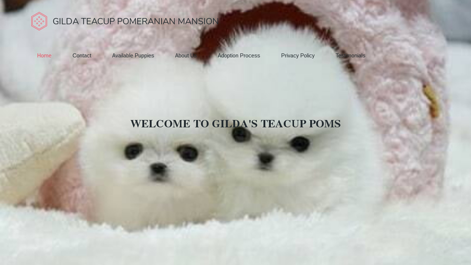 Gildatcuphome.com - Pomeranian Puppy Scam Review