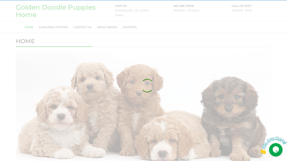 Goldendoodlepuppieshome.com - Golden Doodle Puppy Scam Review