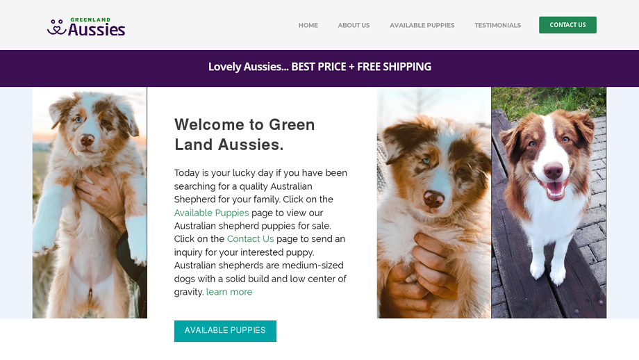 Greenlandaussies51.com - Australian Shepherd Puppy Scam Review