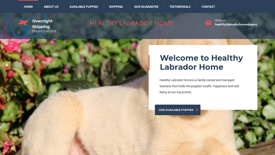 Healthylabradorhome.com - Labrador Puppy Scam Review