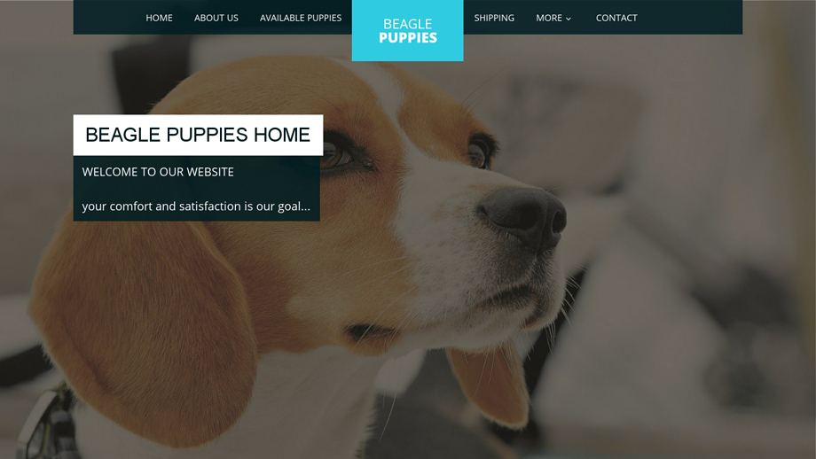 Home4beaglepuppies.com - Beagle Puppy Scam Review