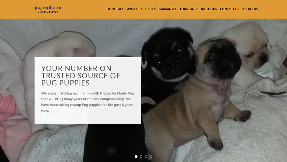 Jaypughome.com - Pug Puppy Scam Review