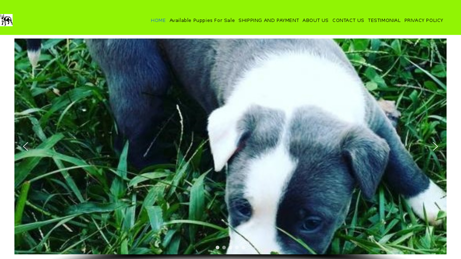 Johnpitbullhome.com - Pit Bull Puppy Scam Review