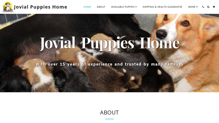 Jovialpupshome.com - Rottweiler Puppy Scam Review