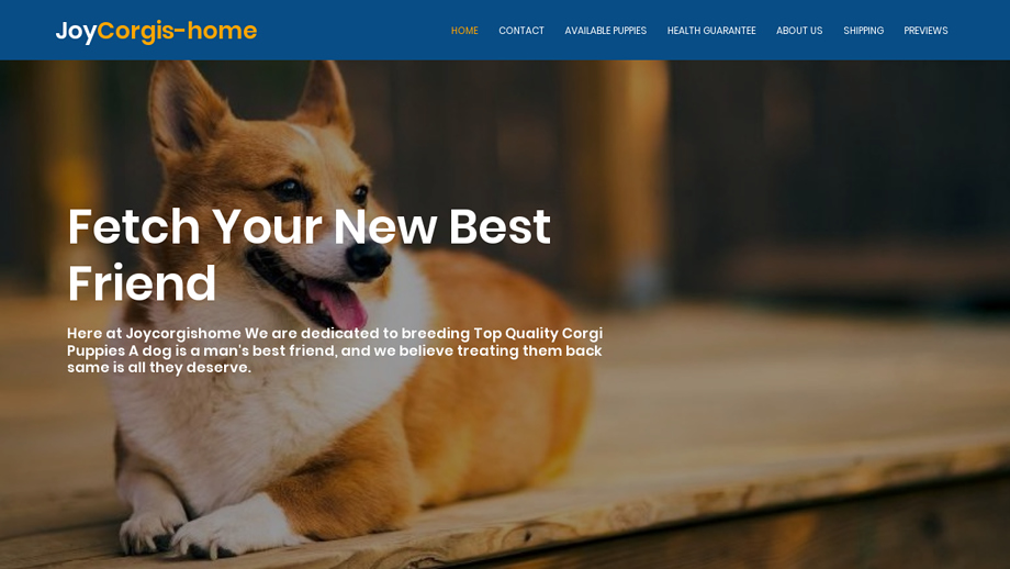 Joycorgishome.com - Corgi Puppy Scam Review