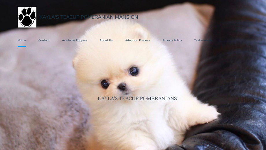 Kaylateacuppoms.com - Pomeranian Puppy Scam Review