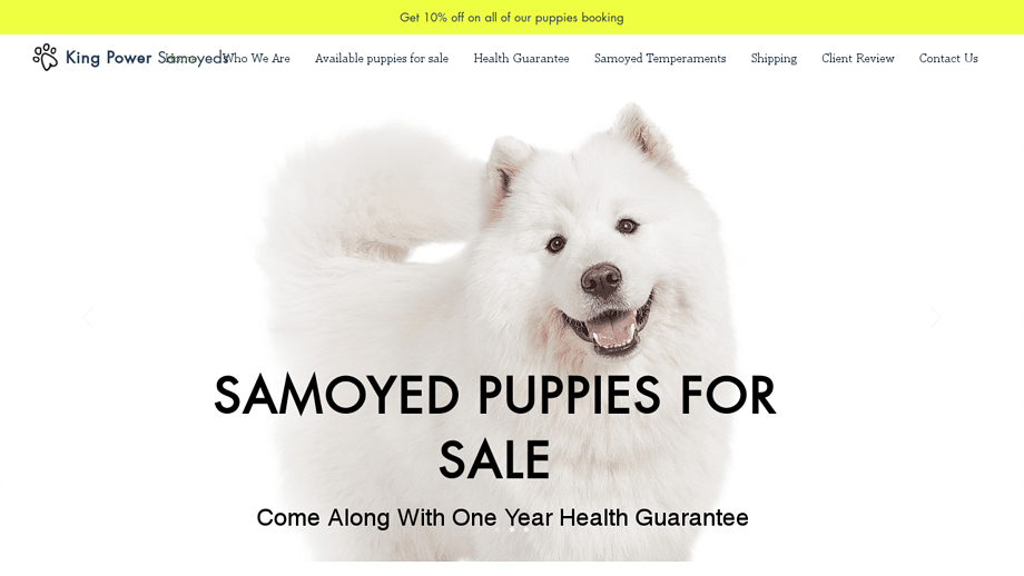 Kingpowersamoyeds.com - Samoyed Puppy Scam Review