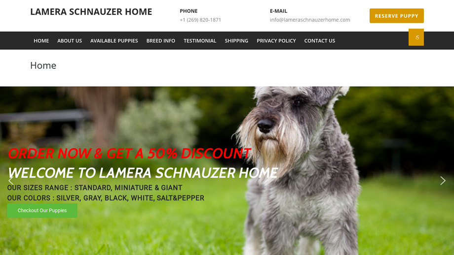 Lameraschnauzerhome.com - Schnauzer Puppy Scam Review