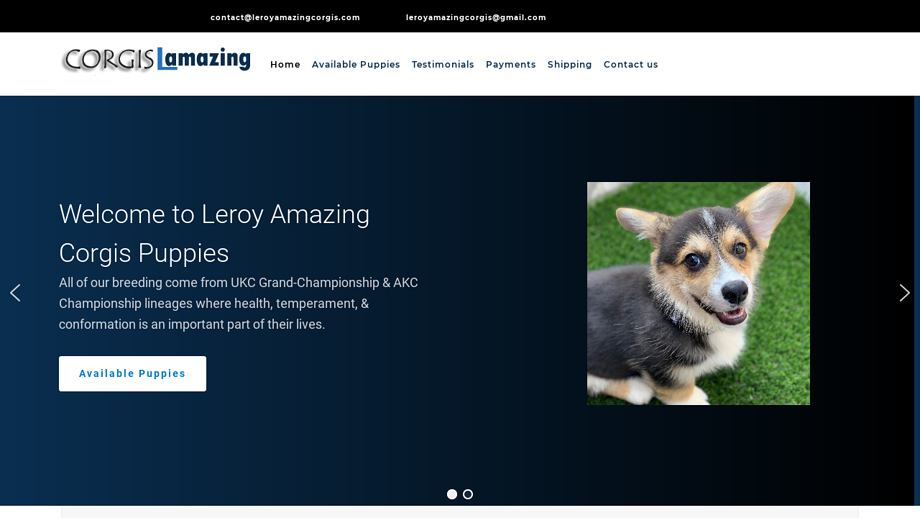 Leroyamazingcorgis.com - Corgi Puppy Scam Review