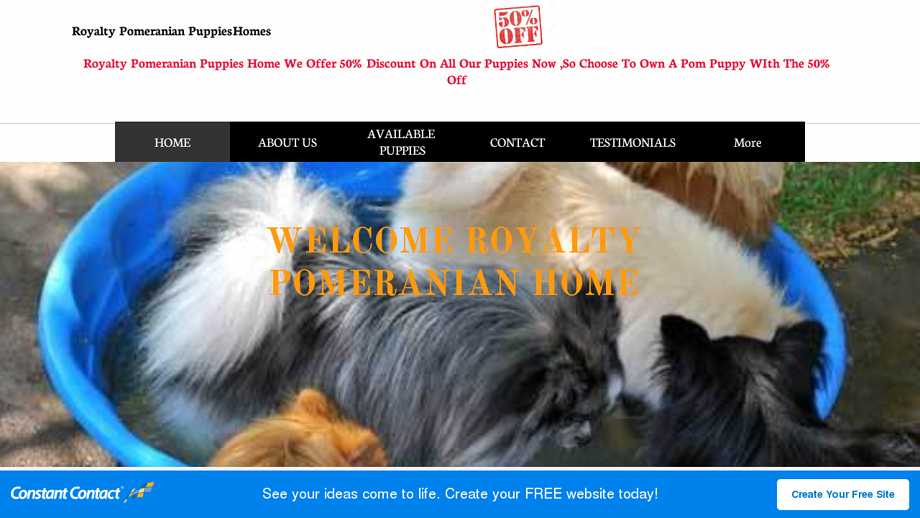 Loyaltypomshom.com - Pomeranian Puppy Scam Review