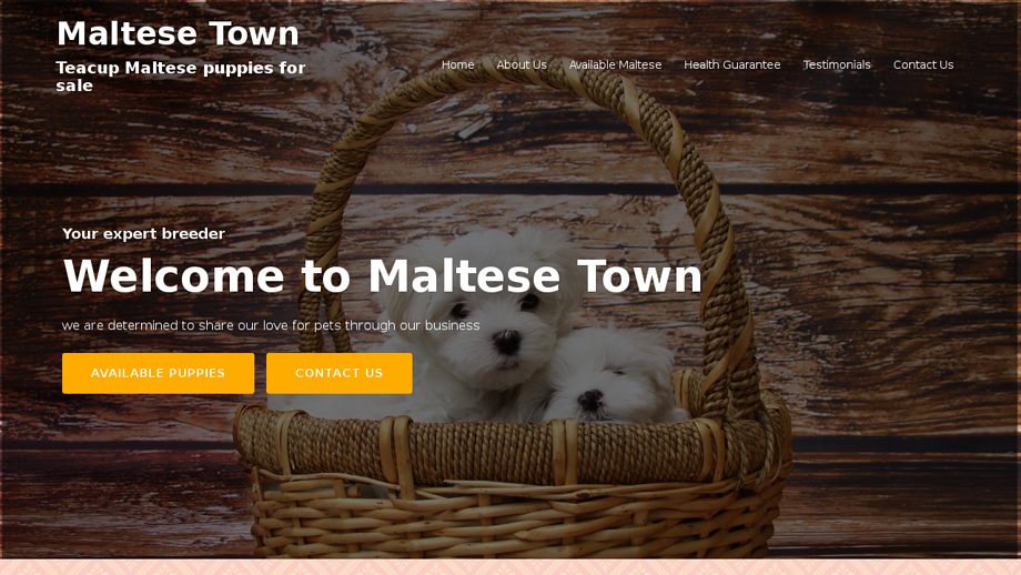 Maltesestown.com - Maltese Puppy Scam Review