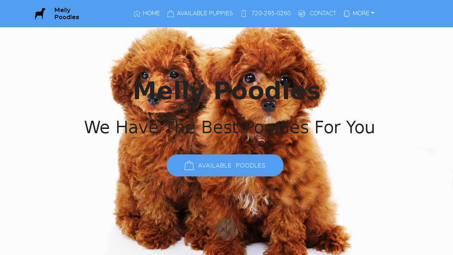 Mellypoodles.com - Poodle Puppy Scam Review