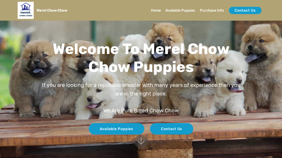 Merelchowchowpuppies.com - Chowchow Puppy Scam Review