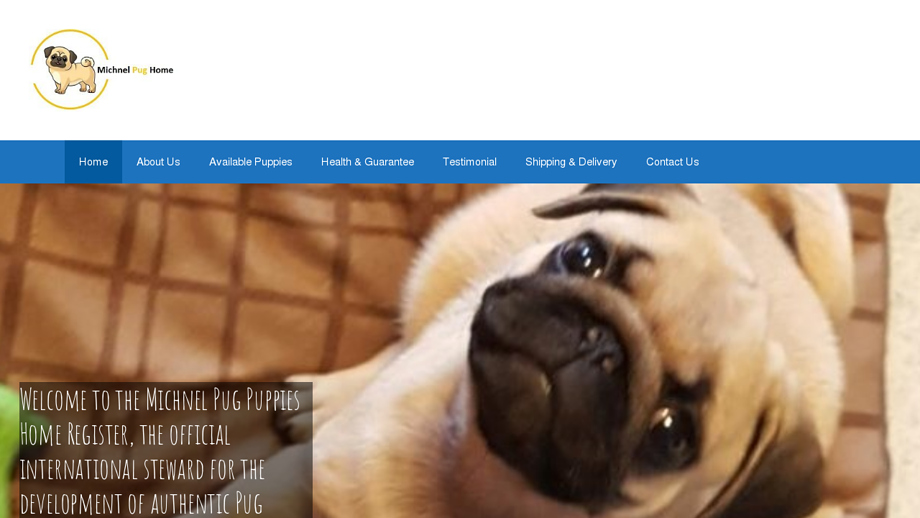 Michnelpughome.com - Pug Puppy Scam Review