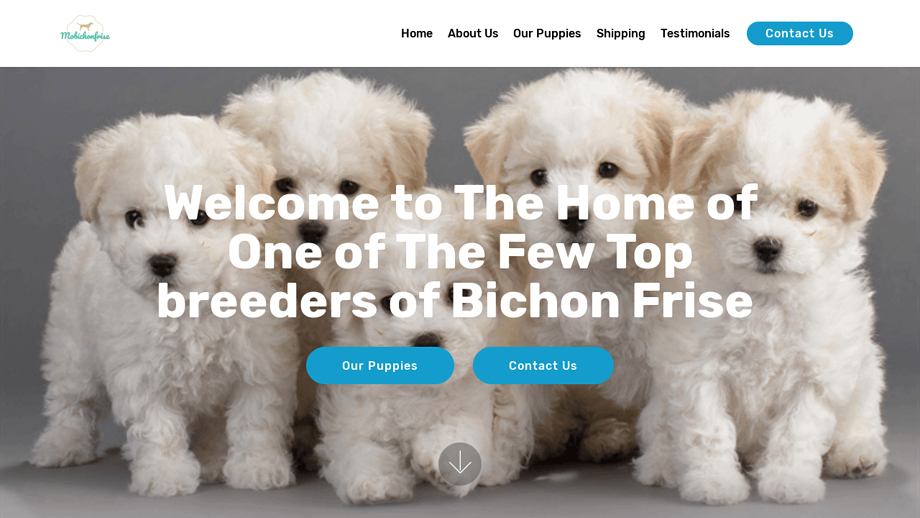 Mobichonfrise.com - Bichon Frise Puppy Scam Review