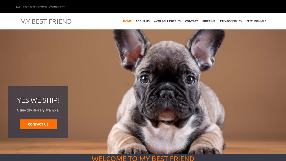 Mybestfriendhouse.com - French Bulldog Puppy Scam Review