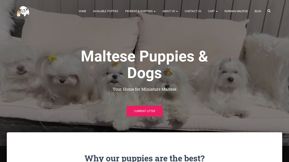 Normanmaltese.com - Maltese Puppy Scam Review