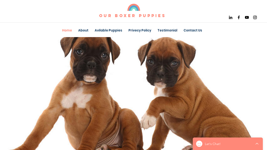 Ourboxerpuppies.com - Boxer Puppy Scam Review