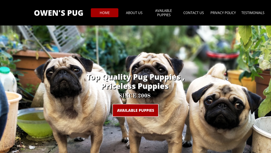 Owenspugpuppies.com - Pug Puppy Scam Review